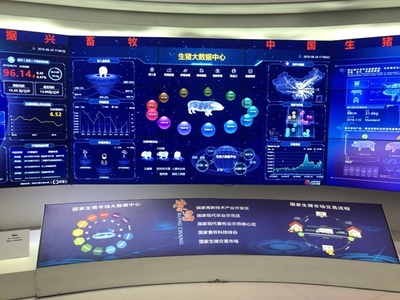 重庆“荣昌猪”遇上大数据,智能化加速现代农业发展